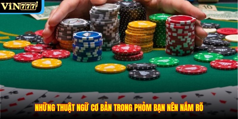 Những thuật ngữ cơ bản trong phỏm bạn nên nắm rõ